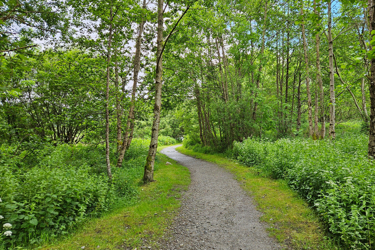 Fort William: Hiking Tour With Local Guide