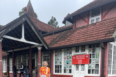 Colombo: Nuwara Eliya: Giardini del tè, fascino coloniale e High Tea