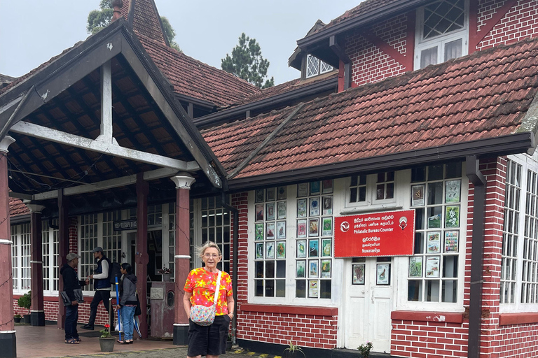 Colombo: Nuwara Eliya: Jardins de chá, charme colonial e chá da tarde