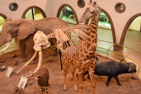 Nairobi National Museum, Giraffe Centre & Bomas of Kenya