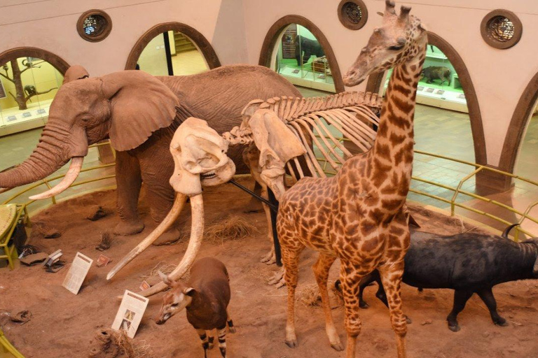 Nairobi National Museum, Giraffe Centre & Bomas of Kenya