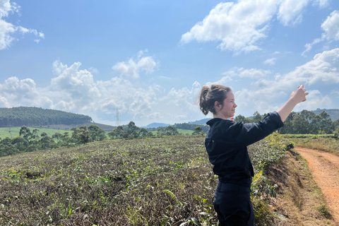 8-tägige Gorilla Trekking Reise durch Ruanda, Uganda und den Kongo (DRC)