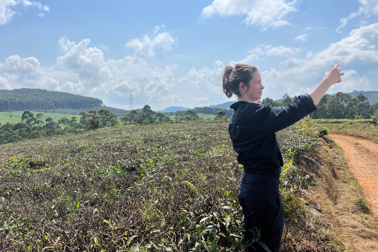 8-tägige Gorilla Trekking Reise durch Ruanda, Uganda und den Kongo (DRC)