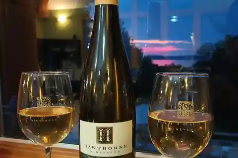 Traverse City Wine and Beer Tour