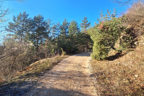 Sarajevo: Guided Nature Walk to Barice & Čavljak from Biosko