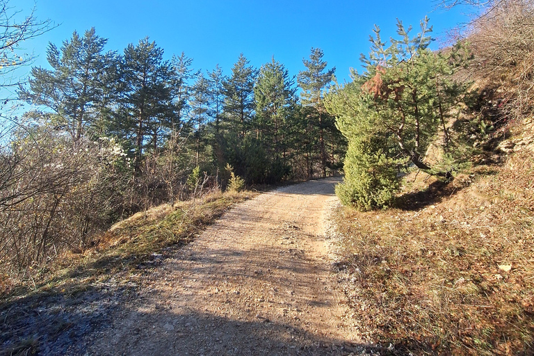 Sarajevo: Guided Nature Walk to Barice & Čavljak from Biosko