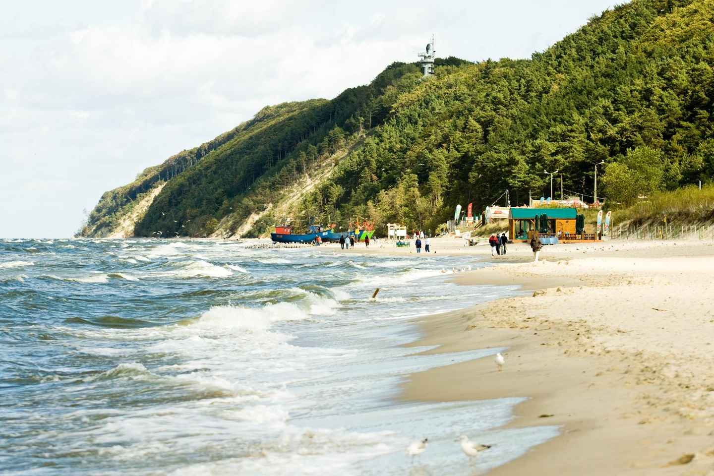 Szczecin Wolin National Park Private Guided Tour