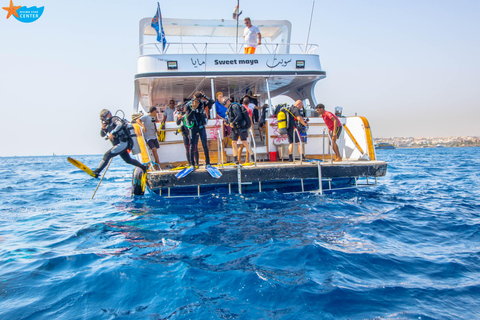 Hurghada: Dos inmersiones en Hurghada Excursión de un día en barcoGrupo o Familia Hasta 20 personas