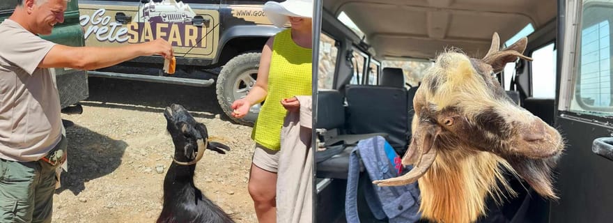 Les secrets du safari en Crète méridionale