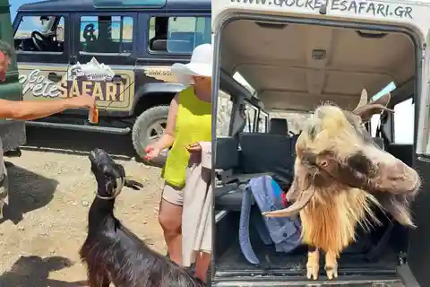 Les secrets du safari en Crète méridionale