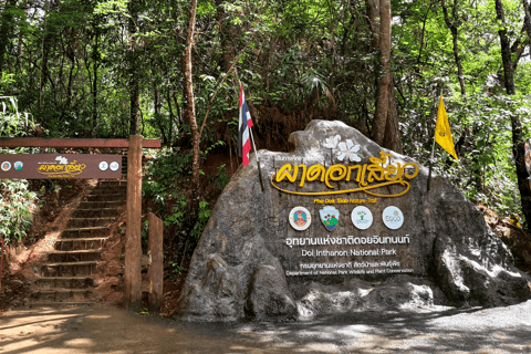 Chiang Mai: Tour ed escursione a Doi Inthanon e al santuario degli elefanti