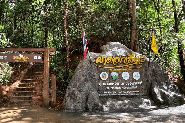 Chiang Mai: Wycieczka i wędrówka do Doi Inthanon i sanktuarium słoni