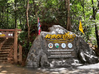 Chiang Mai: Doi Inthanon and Elephant Sanctuary Tour & Hike