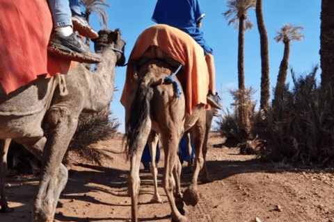 Marrakech: Camel Ride in the Oasis Palmeraie