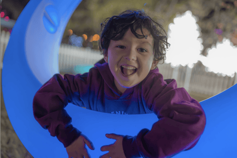 Phoenix: Phoenix ZooLights Entry Ticket