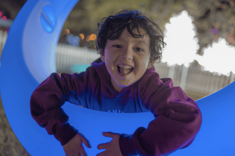 Phoenix: Phoenix ZooLights Entry Ticket