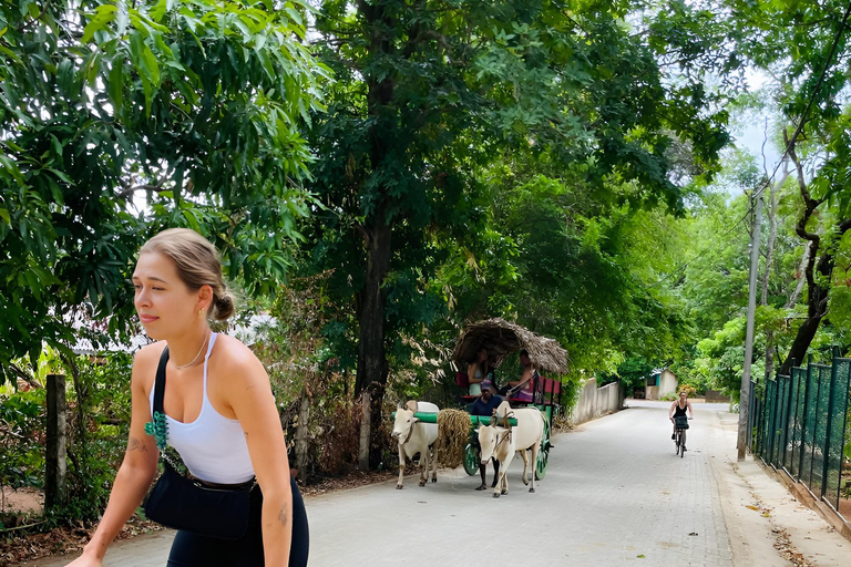 Anuradhapura: Guided Pvt Bike Tour with Lunch & Entry Ticket