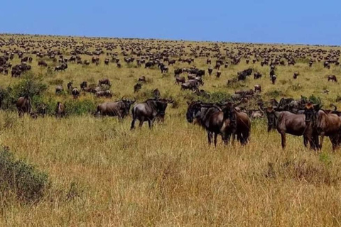 Safari Privado de 6 Días de Turismo Cultural y de Fauna Salvaje