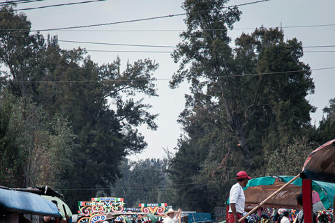 Mexico City: Xochimilco, Coyoacan, UNAM &amp; Aztec Stadium Tour