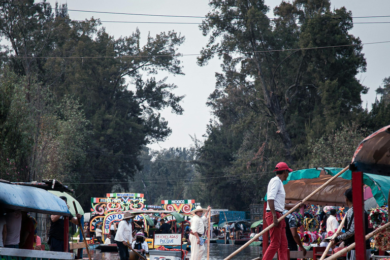 Mexico City: Xochimilco, Coyoacan, UNAM &amp; Aztec Stadium Tour