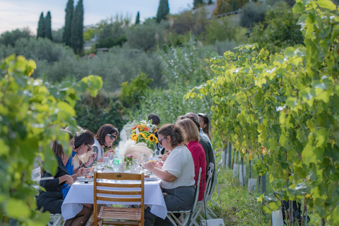 Dîner dans les vignes Côte d'Azur