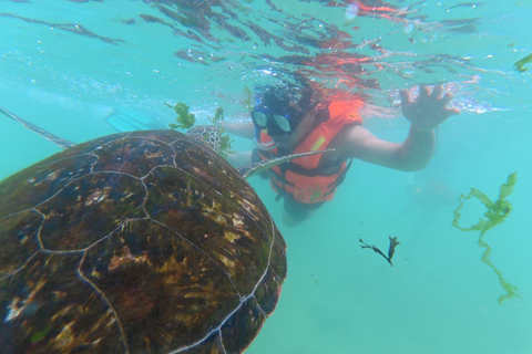 SH Snorkeling Club Mirissa