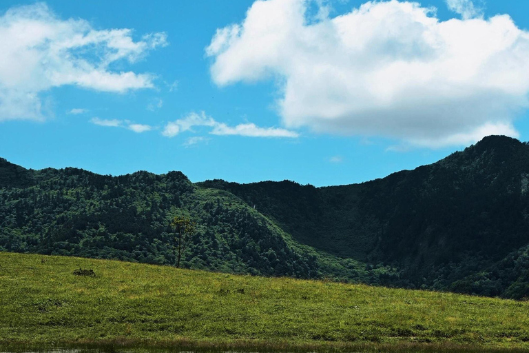 Lijiang: Yulong Snow Mountain, Blue Moon Valley & Show Yakniuping Cableway + "Impression Lijiang" live performance