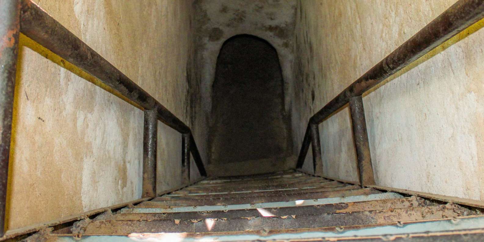section