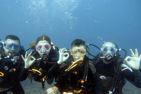 Marmaris: Full-Day Scuba Diving Trip with Lunch & Pickup Scuba Diving Experience (Meeting Point)