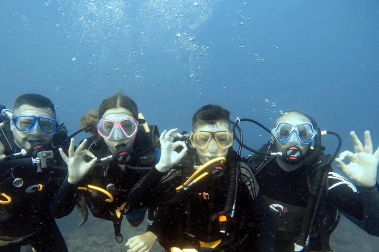 Marmaris: Full-Day Scuba Diving Trip with Lunch & Pickup Scuba Diving Experience (Meeting Point)