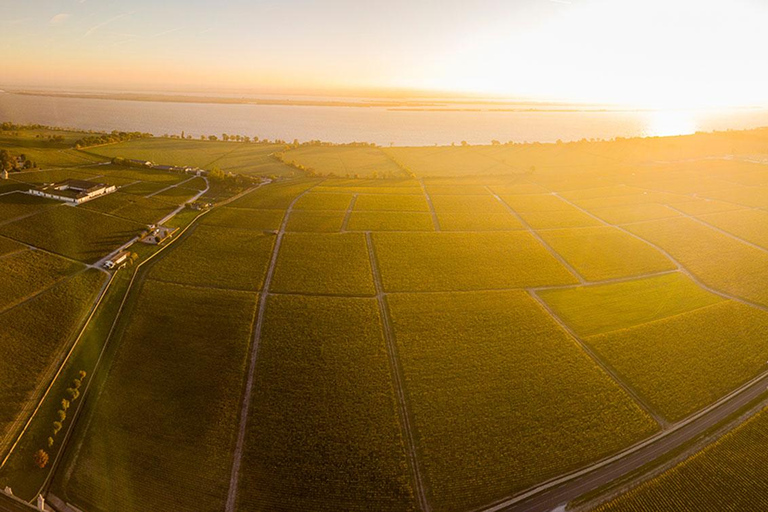 Medoc and Libournais (Left and right bank)