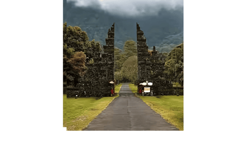 North Bali: Walking on the expanse of jati luwih rice fields