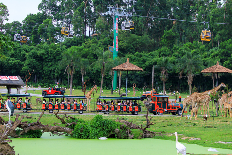 Guangzhou: Chimelong Safari Park Entry with Private Transfer Shenzhen | Private Transfer + Chimelong Safari Park Ticket