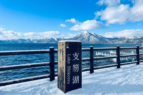 Sapporo: Lake Shikotsu Ice Festival & Lake Toya Day Trip