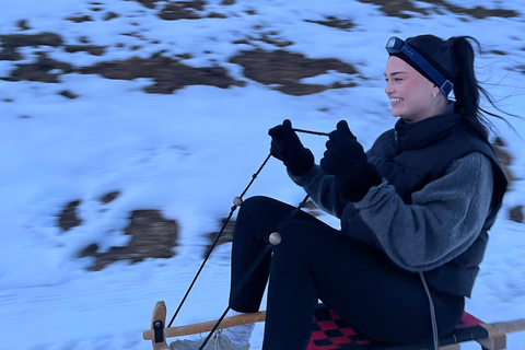 Interlaken: Sunset Sledding Adventure & Swiss Cheese Fondue Interlaken: Sunset Sledding & Fondue Dinner in Mürren