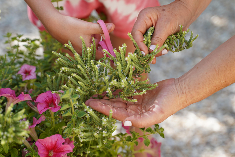 Chania Cooking Class-The Authentic