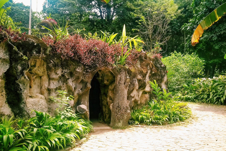 Visite guidée du jardin botanique et du parc Lage au cœur de Rio