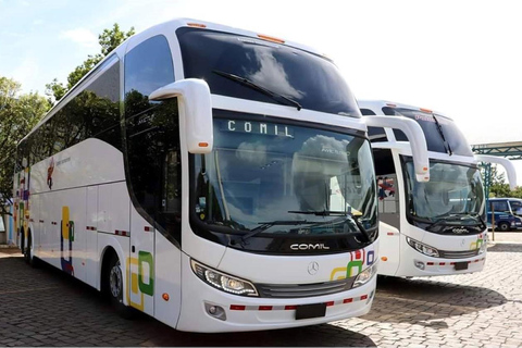 Von Cusco: Direkter Bus nach Puerto Maldonado Bus Cama 160°.