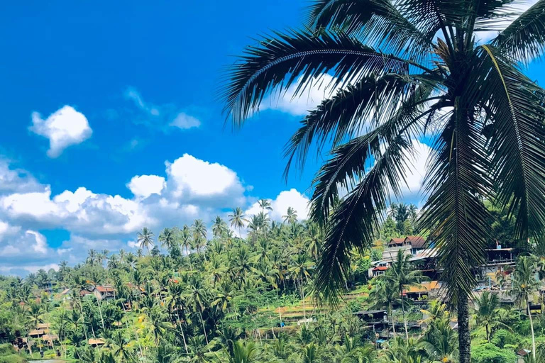 Ubud: Private Half-Day Tour Rice Terrace, Temple & Waterfall Private Half-Day Tour (With Entrance Tickets)