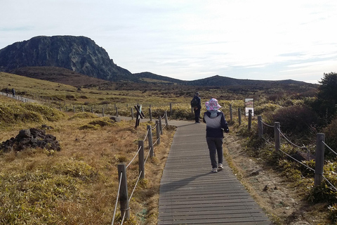 Entdecke die Highlights der Insel Jeju und ihre UNESCO-Stätten!