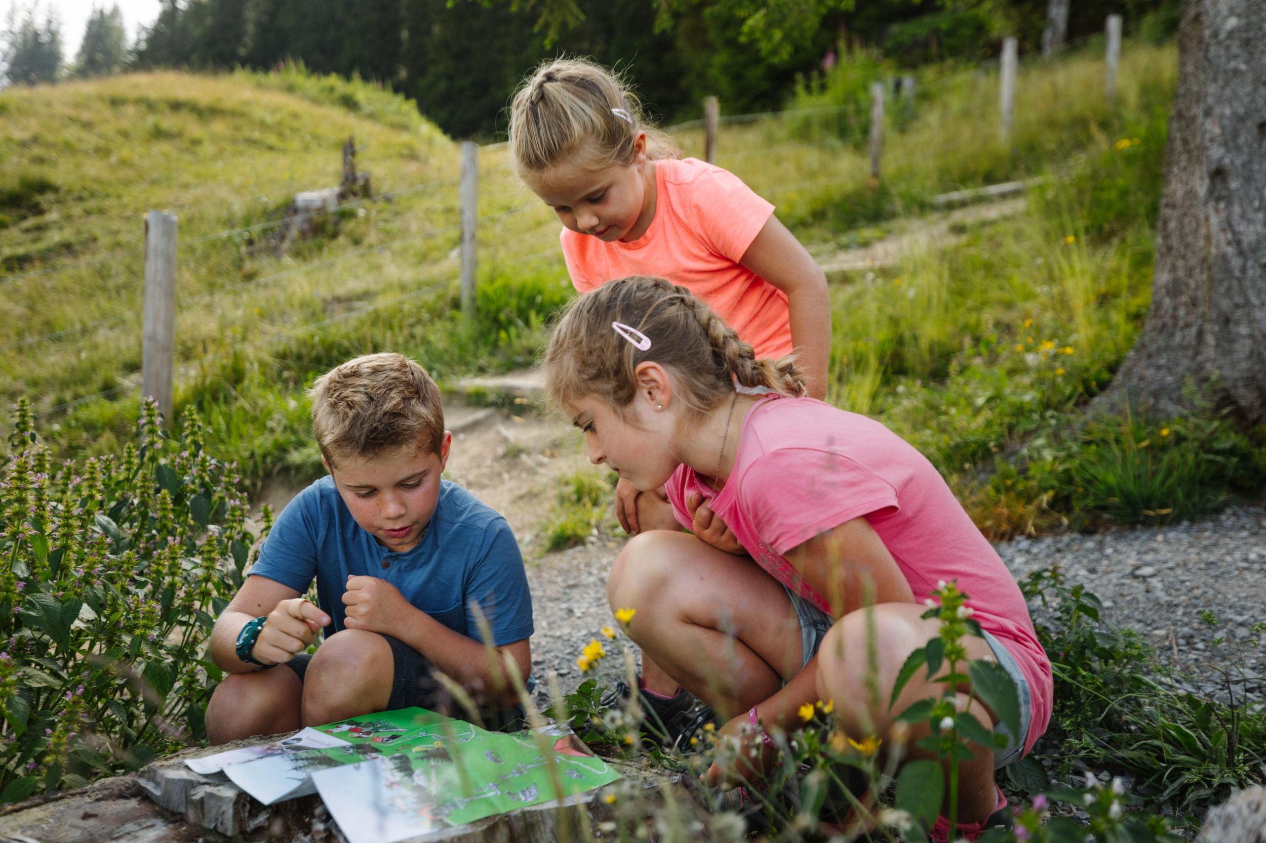 Adelboden: Vogellisi-Abenteuerpfad Familienwanderung