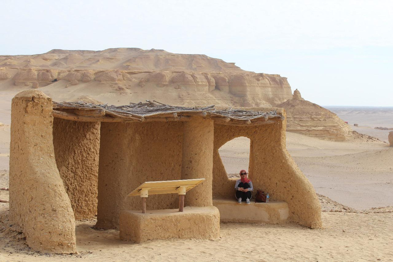 Ontdek Wadi Hitan, het prehistorische wonder van Egypte!Ontdek Wadi Hitan, het prehistorische wonder van Egypte! 4 personen