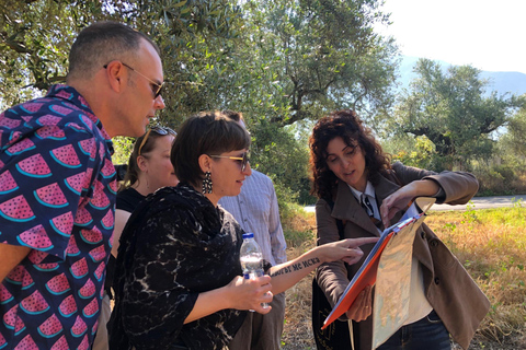 Visite et dégustation d&#039;huile d&#039;olive à Kalamata, Messénie, Grèce