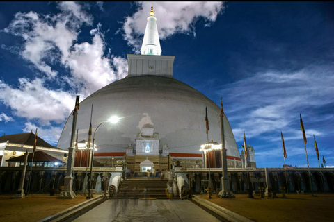 Sigiriya to Wilpattu Safari & Anuradhapura Cultural Day Tour