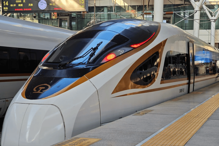 From Zhangjiajie: Guangzhou History, Cruise & Nightlife Tour