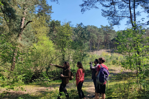 Explorez l&#039;île de Sobieszewo : Visite à pied de la nature et de la faune