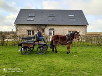 MENTHEVILLE , Horse cariage ride in coutryside - Housity