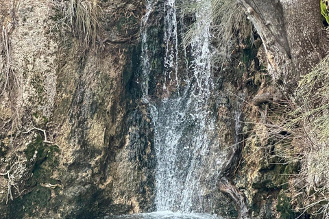 Las Vegas: gezinsvriendelijke begeleide wandeling naar Emerald Falls