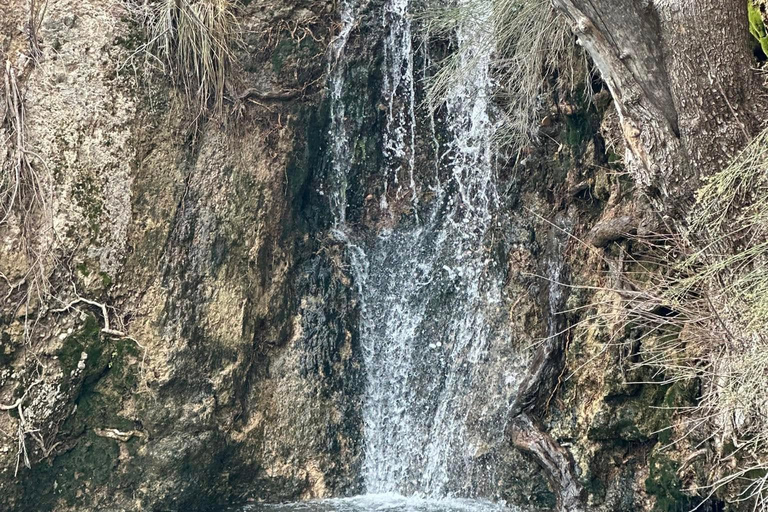 Las Vegas: gezinsvriendelijke begeleide wandeling naar Emerald Falls