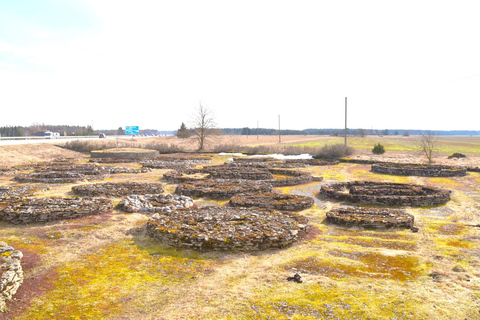 Descubre Estonia - excursión en coche a la ciénaga de Viru y a las cascadas.